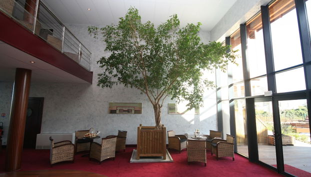 Lobby-Lounge