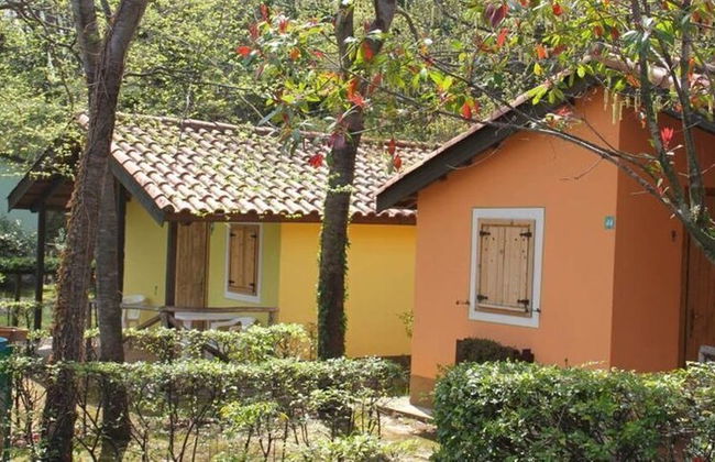Bungalow Village Le Caravelle - by Mamberto S.r.l. - Foto 35