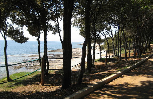 Peaceful House Only 900m From the sea With Swimming Pool, Bbq, Wifi, Airco - Foto 38