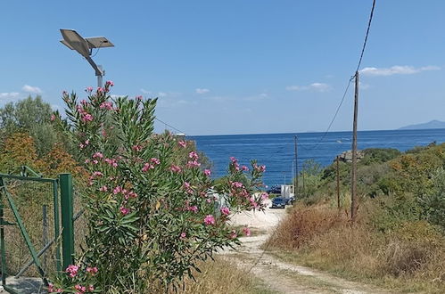 Foto 60 - Villa Siesta - detached house by the sea