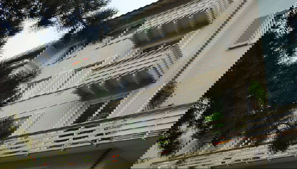 Imagem principal