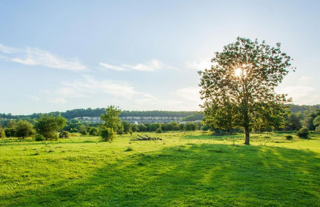 Charming Villa Near Maastricht and Hillside - Foto 5