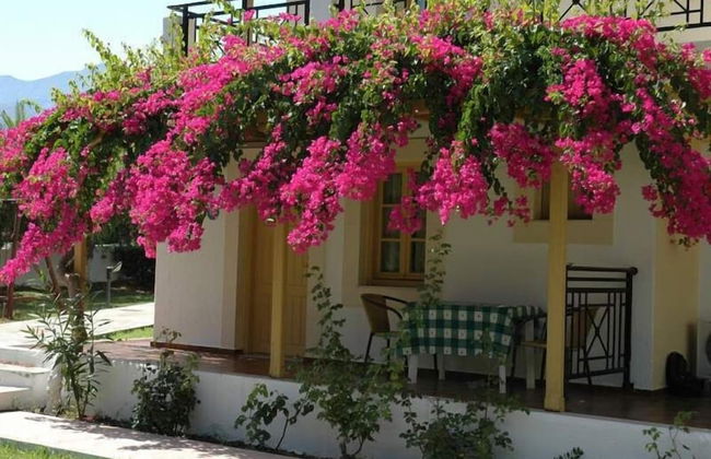 Sergiani Garden - Foto 57
