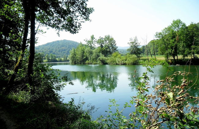 Restful Holiday Home in Vrbovsko - Foto 32