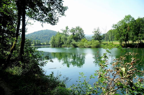 Photo 28 - Restful Holiday Home in Vrbovsko