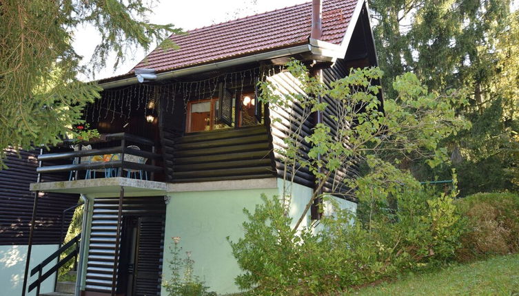 Photo 1 - Restful Holiday Home in Vrbovsko