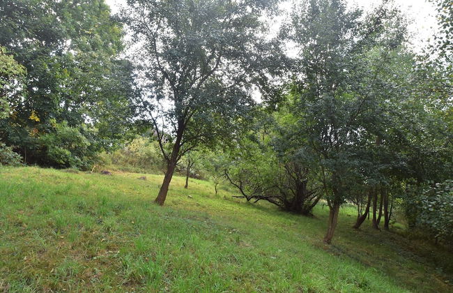 Mountains Family Retreat - Photo 27