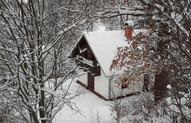 Mountains Family Retreat - Photo 1