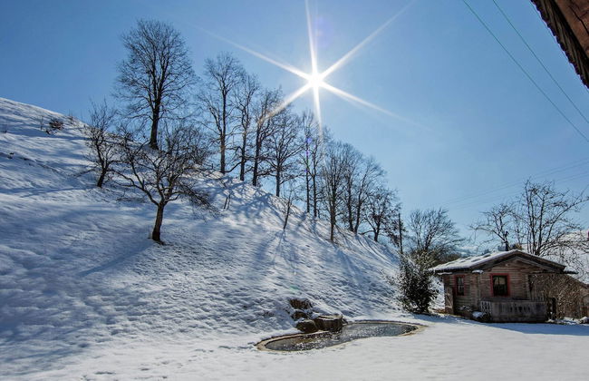 Huge Holiday Home in Hopfgarten im Brixental near Ski Lift - Photo 24