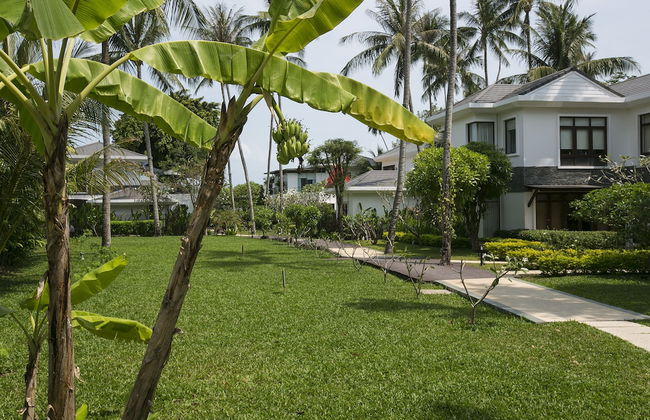 Lotus Samui - Foto 65