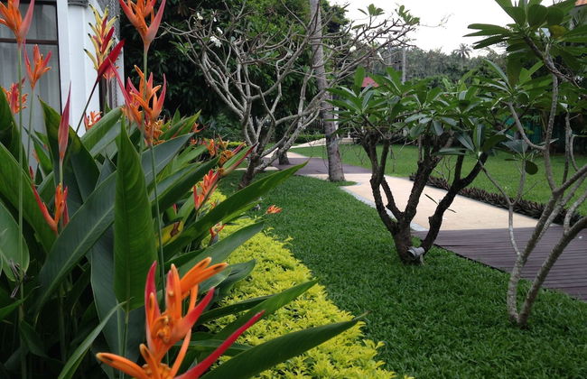 Lotus Samui - Foto 80