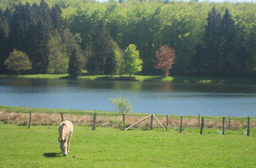 Photo 28 - Holiday Home in the Heart of the Ardennes