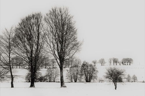 Photo 27 - Holiday Home in the Heart of the Ardennes