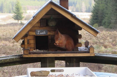 Photo 14 - Rustic Chalet, Ultimate Relaxation in the Forest