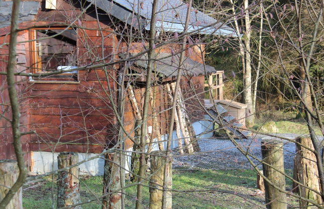 Cozy Forest Chalet Escape - Foto 22