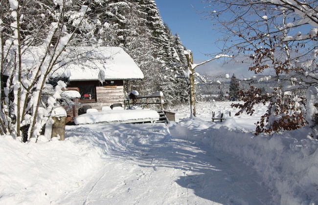 Cozy Forest Chalet Escape - Foto 23