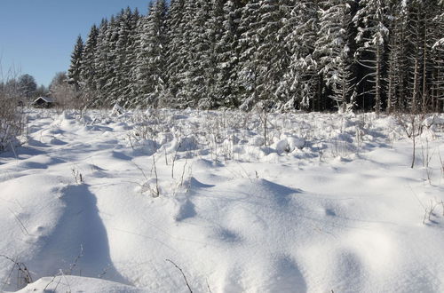 Photo 28 - Rustic Chalet, Ultimate Relaxation in the Forest