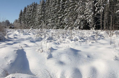 Photo 26 - Rustic Chalet, Ultimate Relaxation in the Forest