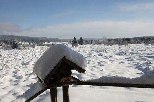 Photo 38 - Rustic Chalet, Ultimate Relaxation in the Forest