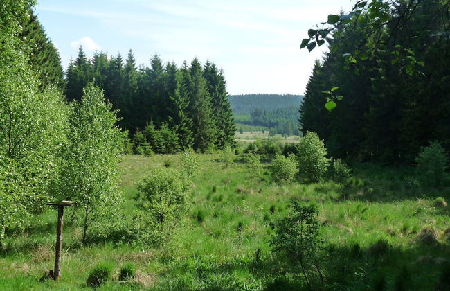 Cozy Forest Chalet Escape - Foto 37