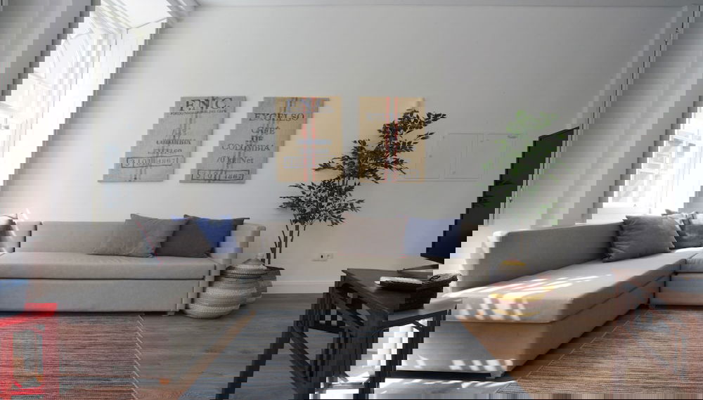Imagem principal