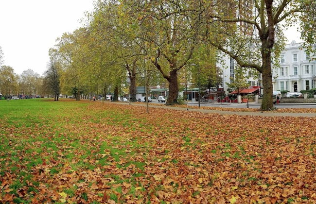 Lovely Designer 1 Bedroom Shepherd's Bush 7 min to Tube - Foto 10