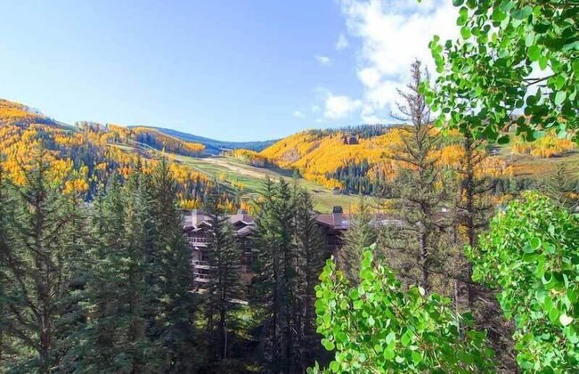 The Wren at Vail - Foto 65