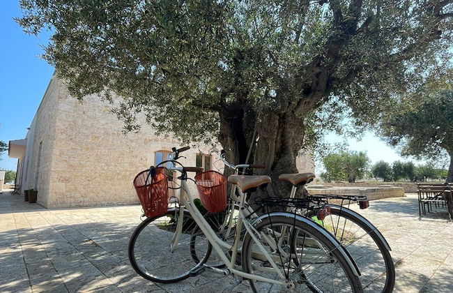Masseria Fanizzi - Foto 33