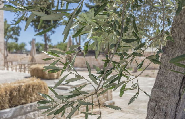 Masseria Fanizzi - Foto 47