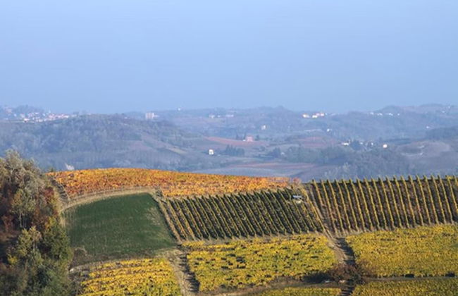 Cascina Marcantonio - Foto 53
