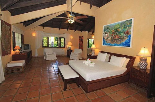 Photo 3 - Villa Las Palmas Caribbean Family Vacation Rental