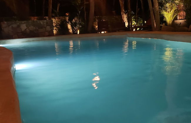 Jungle Penthouse - Foto 18