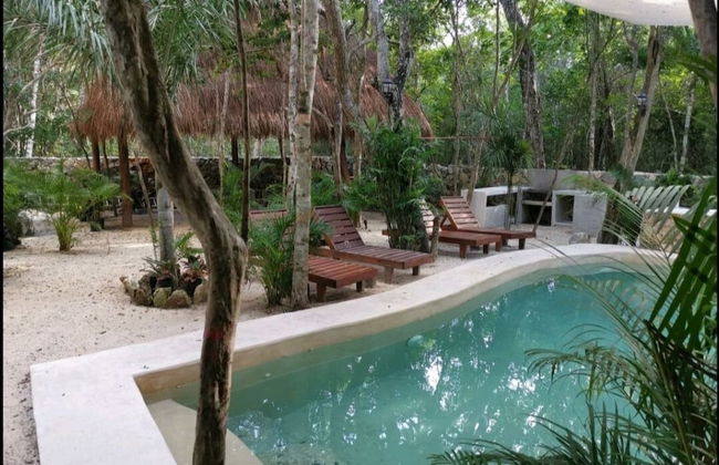 Jungle Penthouse - Foto 16