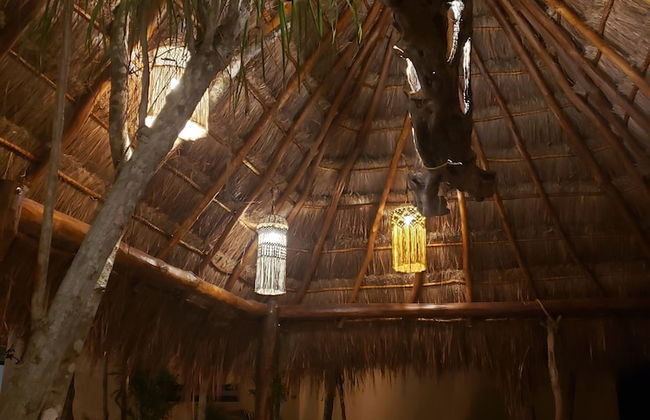 Jungle Penthouse - Foto 30