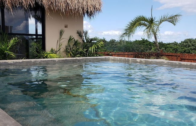 Jungle Penthouse - Foto 17