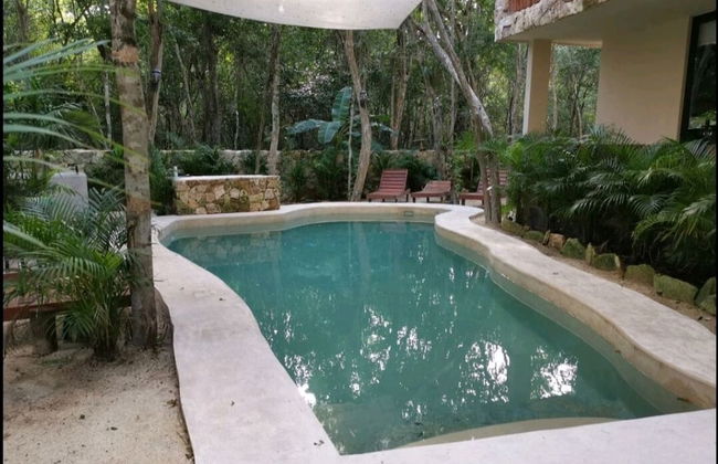 Jungle Penthouse - Foto 19