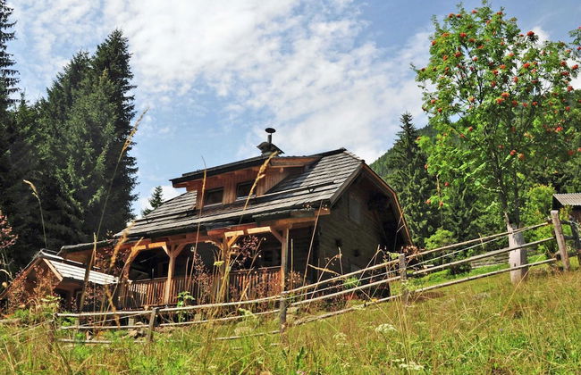 Chalet in Kolbnitz Near Ski Slopes - Foto 9