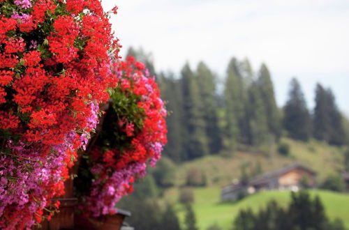 Photo 15 - Apartment Near Zell am See-kaprun