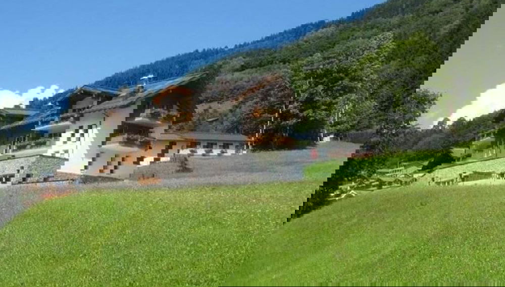 Image principale