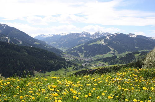 Photo 22 - Spacious Apartment with Garden near Ski Area in Wagrain