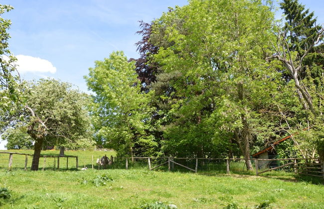 Family Villa in Ferrieres - Foto 21