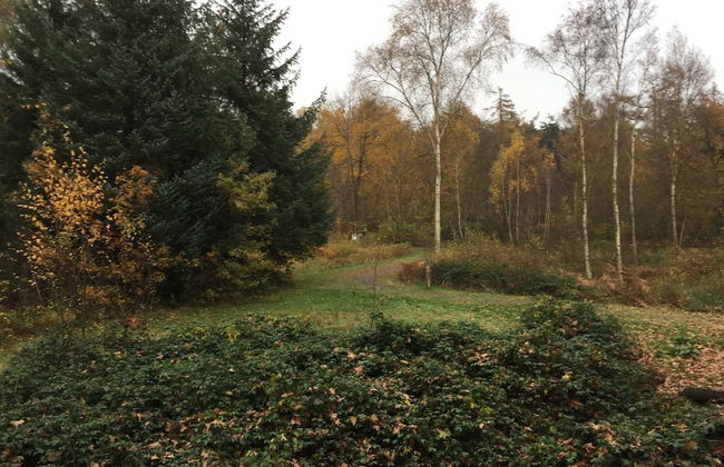 Holiday Home in Koekelare With Scenic Views - Foto 39