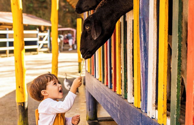 Hotel Fazenda China Park - Foto 65