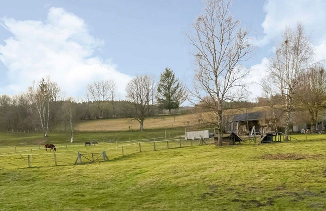 Magnificent Holiday Home in Manhay With Fenced Garden - Foto 39