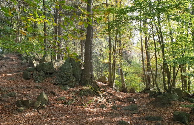 Limbourg Getaway With Charm - Foto 40