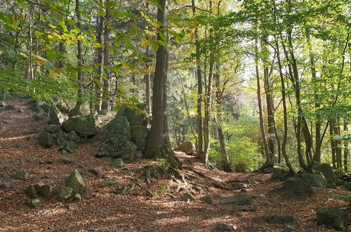 Photo 38 - Delightful Holiday Home in Limbourg With Garden