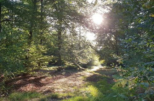 Photo 31 - Delightful Holiday Home in Limbourg With Garden