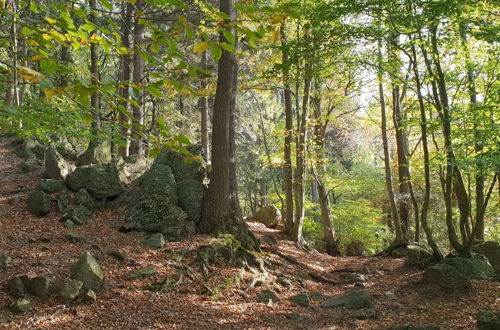 Photo 35 - Delightful Holiday Home in Limbourg With Garden