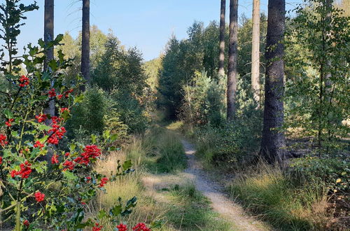 Photo 33 - Delightful Holiday Home in Limbourg With Garden