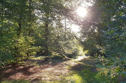 Photo 29 - Delightful Holiday Home in Limbourg With Garden